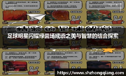 足球明星闪耀绿茵场成语之美与智慧的结合探索